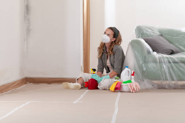 Reliable Mold Remediation contractor in Cameron, TX by WQB Mold Removal